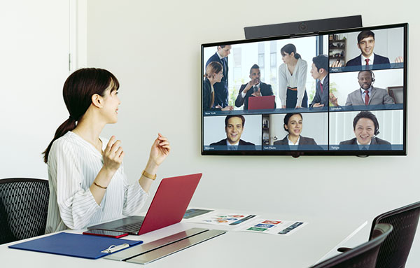 Video conference-Telemeeting-interview