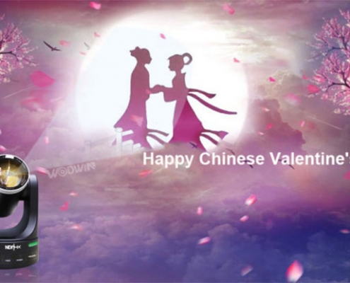 Traditional Chinese Valentine's Day -Qixi Festival